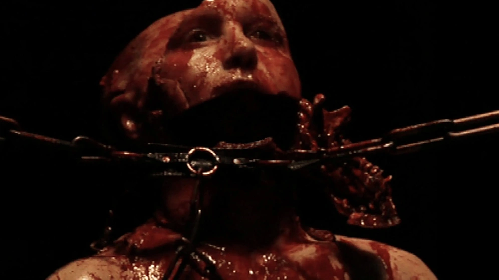 Imagen de dard-divorce