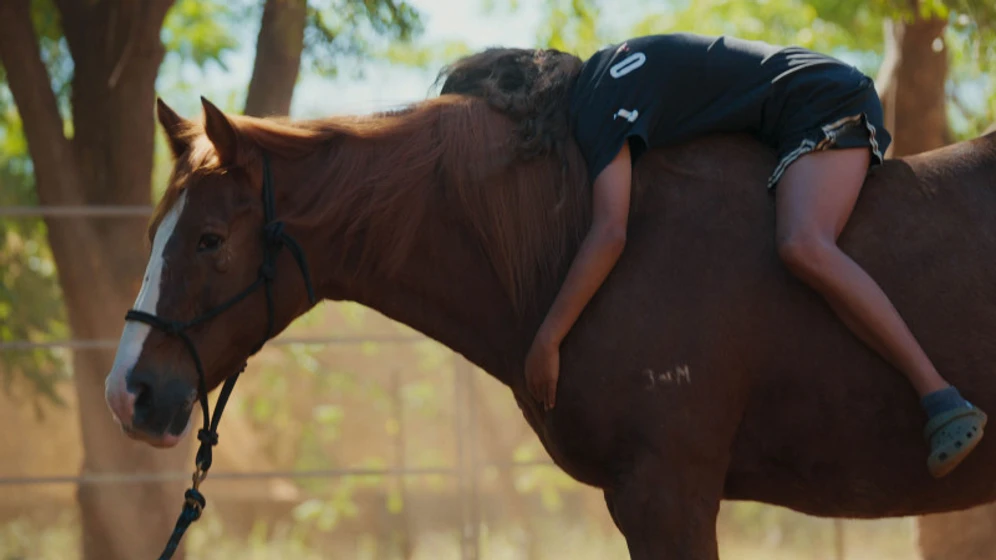 Imagen de guided-by-horses