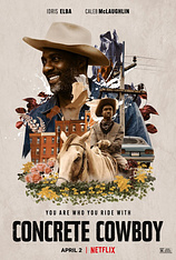 poster of movie Cowboy de asfalto