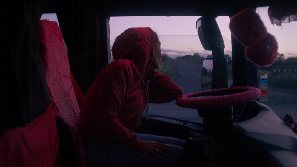 Imagen de camionero