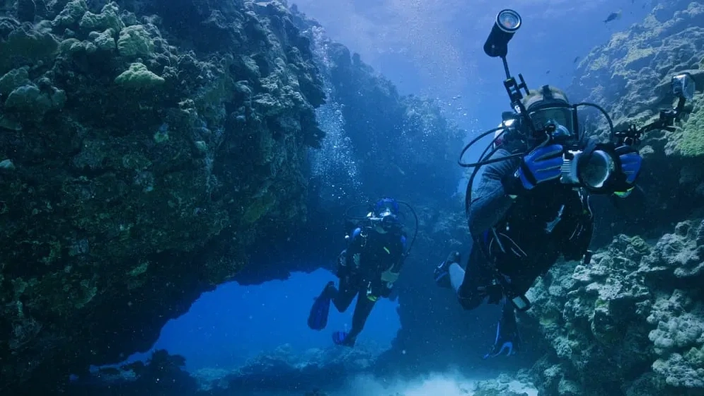 Imagen de Volcanes y Tiburones: Hawaii