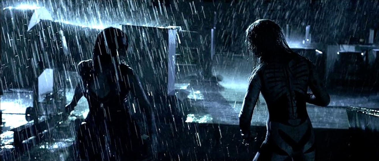 Imagen de the-scribbler