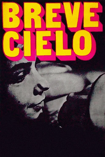 Poster de Breve Cielo