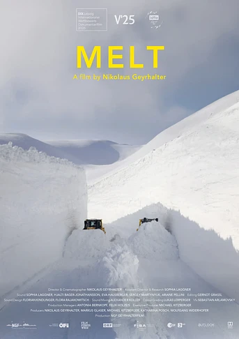 Poster de Melt