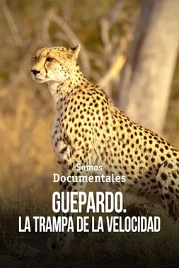 Guepardo: La Trampa de la Velocidad