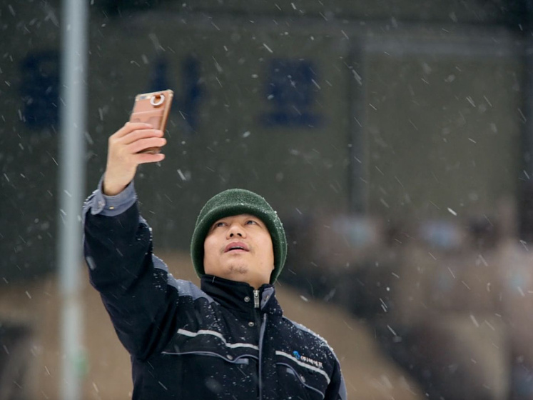 Imagen de in-the-land-of-machines