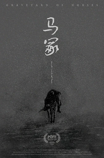Poster de Graveyard of Horses