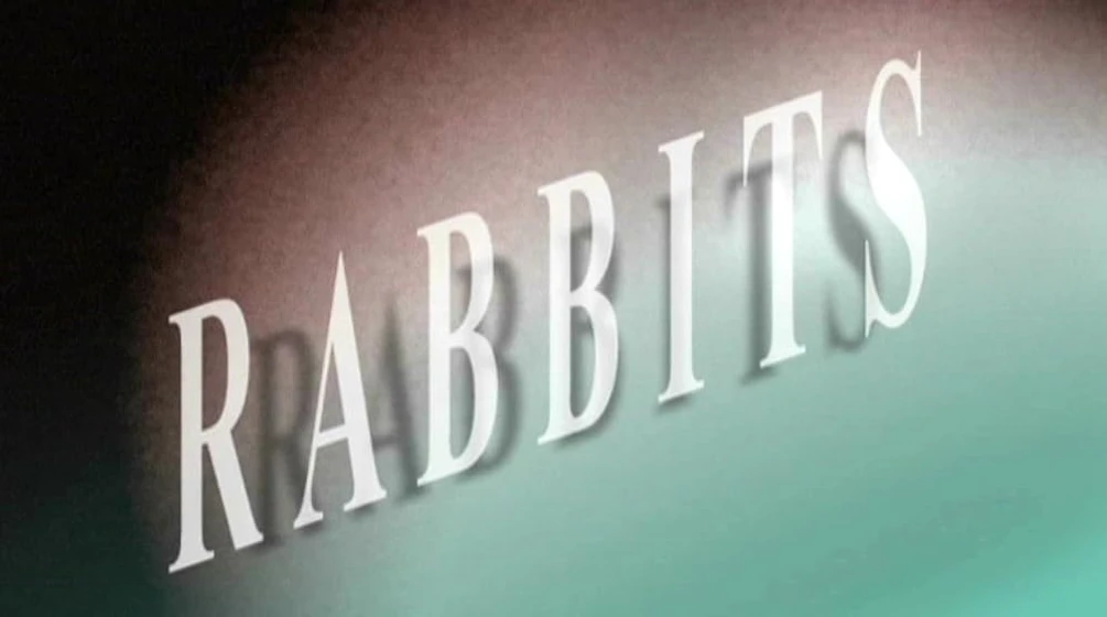 Imagen de conejos-rabbits