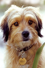 Foto de Benjean