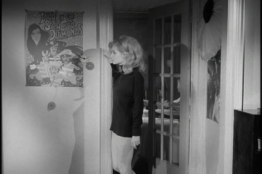 Imagen de confessions-of-a-psycho-cat