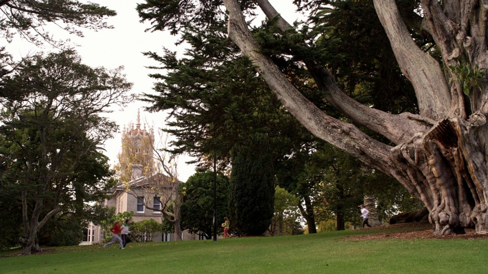 Imagen de Avalon High