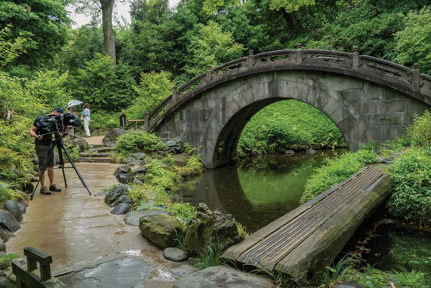 Imagen de Van Gogh y Japón