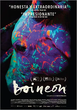poster of movie Boi Neon