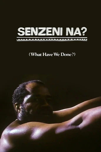 Poster de What Have We Done?