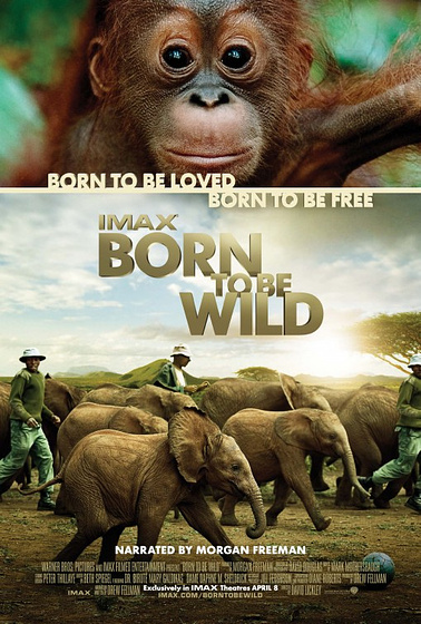 Imagen de Born to Be Wild (Cartel)