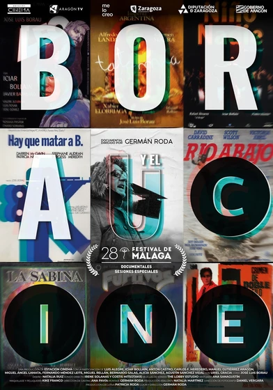 Imagen de borau-y-el-cine (Cartel)