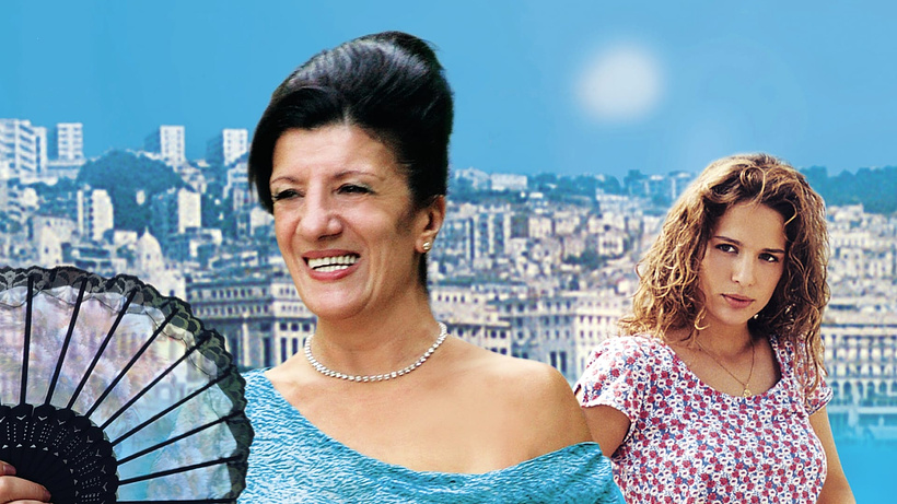 Imagen de Délice Paloma