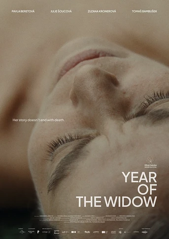 Poster de Year of the Widow