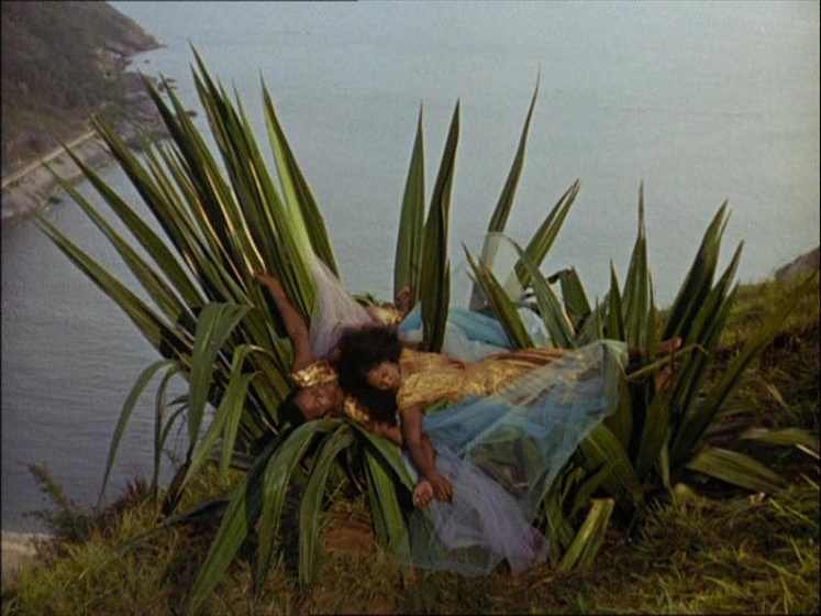 Imagen de Orfeo Negro