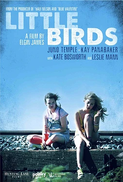 poster of movie Little Birds