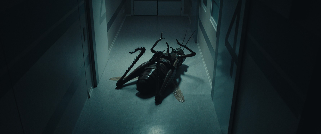 Imagen de The Kiss of the Grasshopper