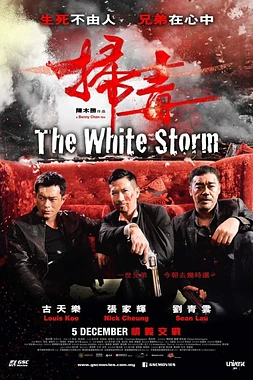 poster of movie The White storm