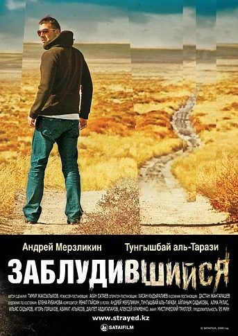 Poster de Strayed