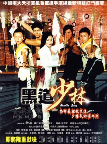 Poster de Shaolin Gang