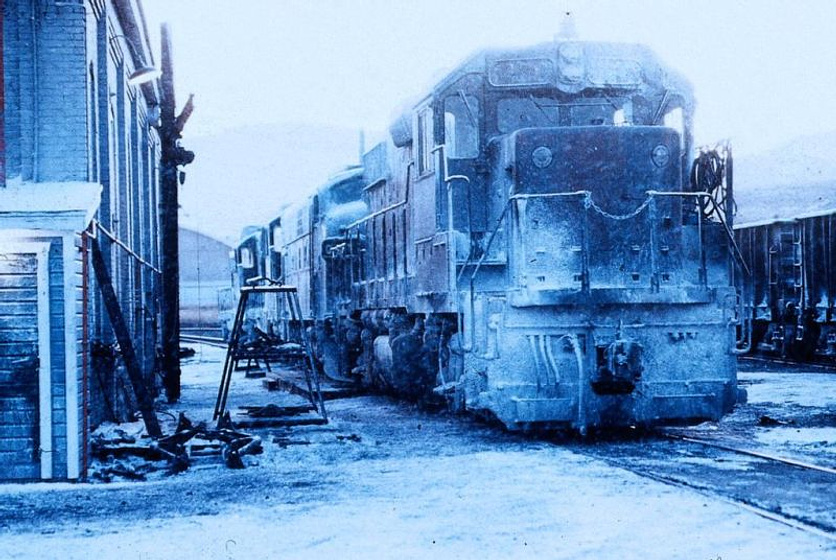Imagen de El Tren del infierno