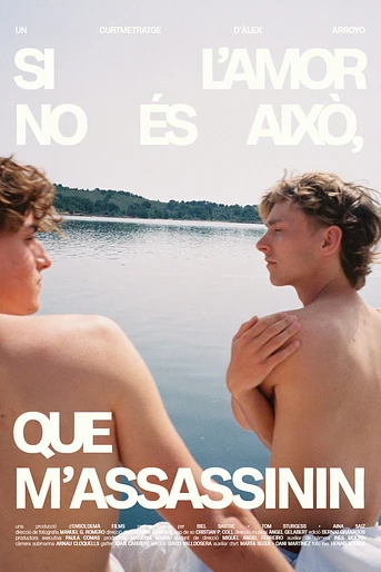 Poster de Si l'amor no és això, que m'assassinin