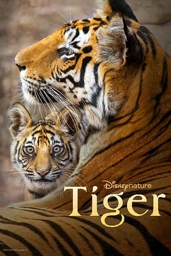 Poster de Tigres