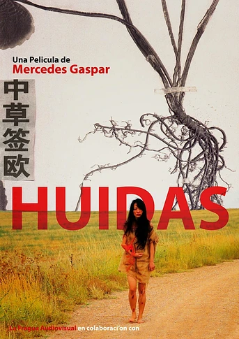 Poster de Huidas