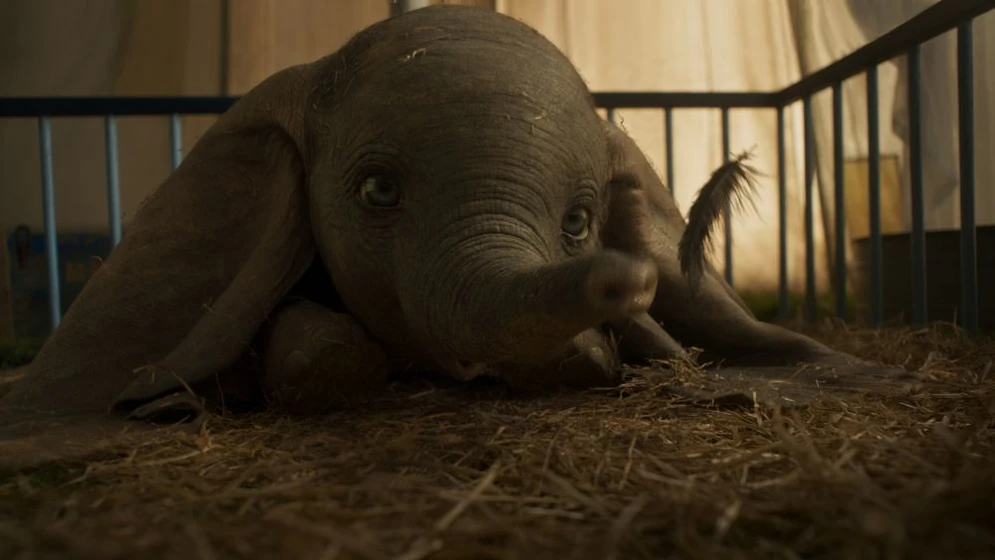 Imagen de dumbo-2019