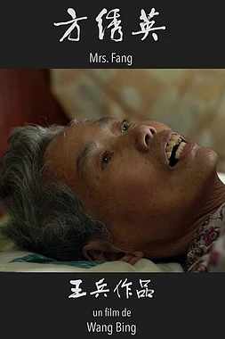 poster of movie Mrs. Fang