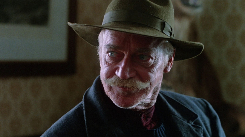 Imagen de El Zorro gris
