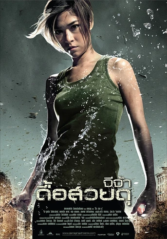 Poster de Raging Phoenix