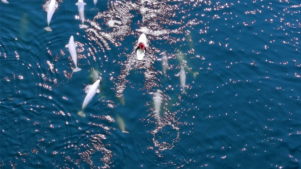 Imagen de whales-and-i