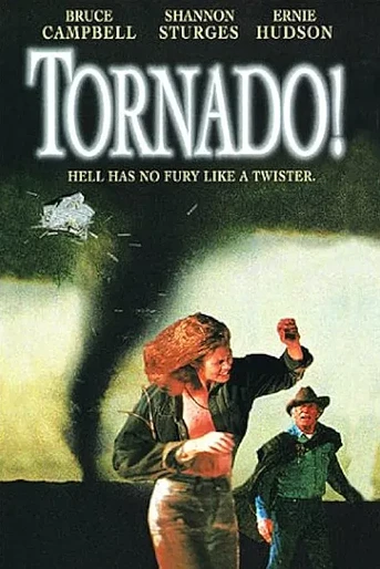 Poster de Tornado!
