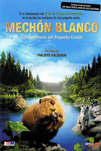 Poster de Mechón Blanco, las Aventuras del Pequeño Castor