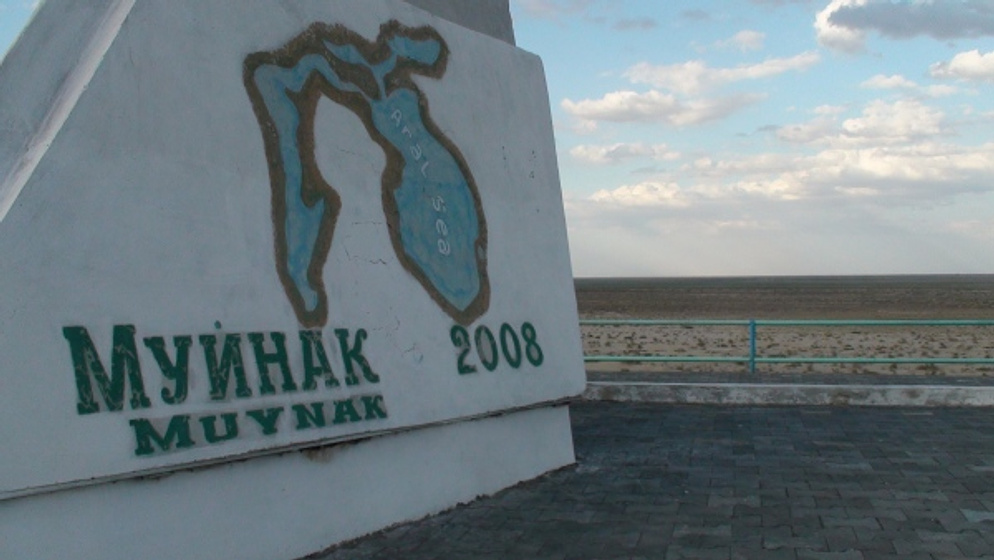 Imagen de Aral, el mar perdido