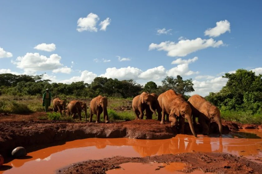 Imagen de born-to-be-wild