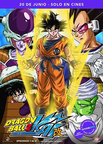 Poster de Dragon Ball Z Kai
