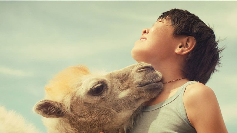 Imagen de Celestíal Camel
