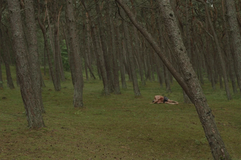Imagen de the-gambler