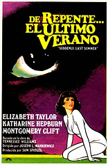 poster of movie De repente, el último verano