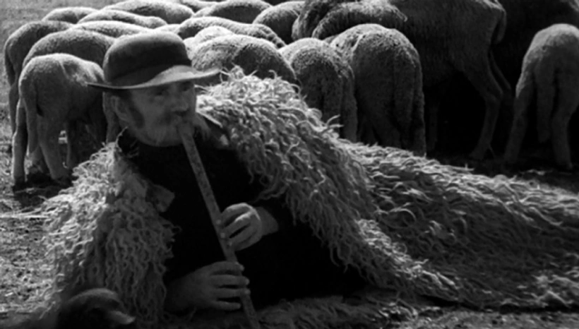 Imagen de Life on the Hortobágy