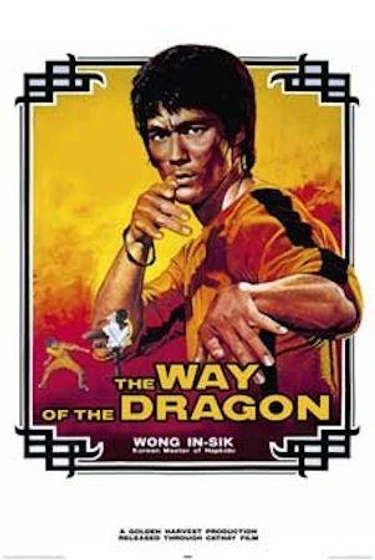 Imagen de el-furor-del-dragon (Cartel)