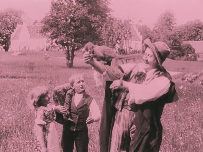 Imagen de The Firefly