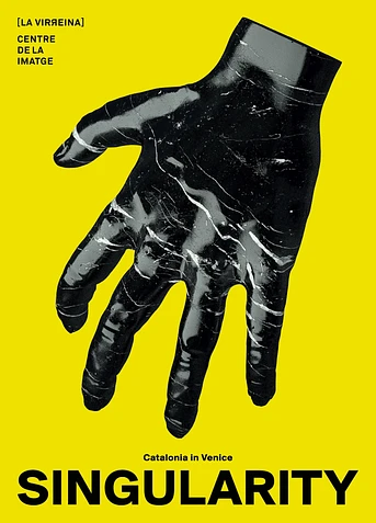 Poster de Singularity