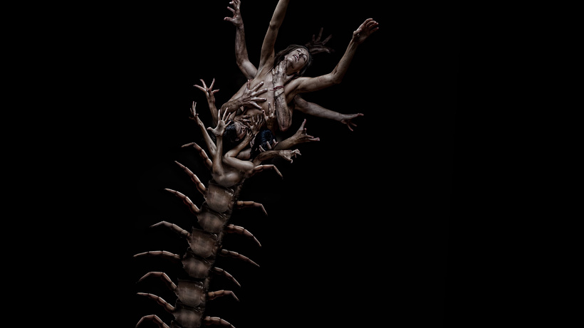 Imagen de The Human Centipede II (Full Sequence)
